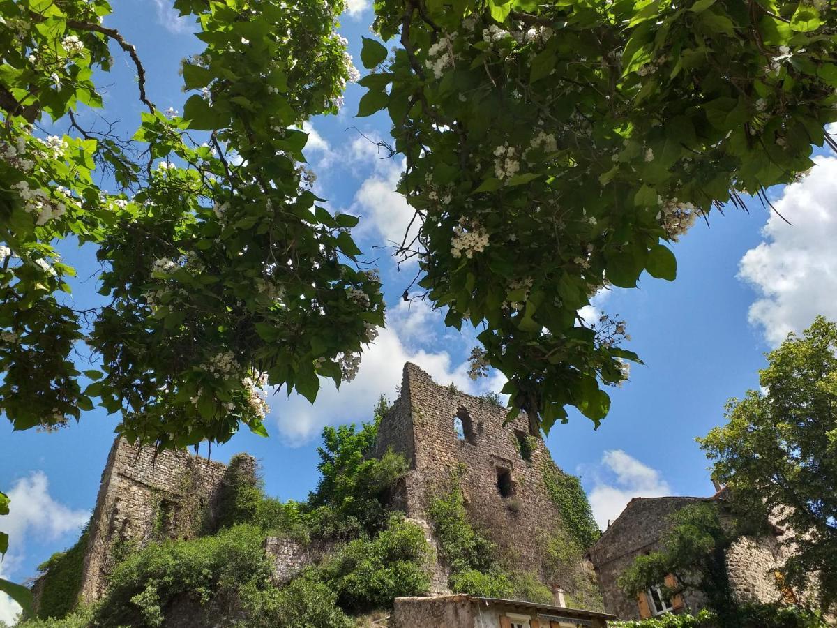 Les Pentes Du Chateau De Retourtour Lamastre Exterior foto